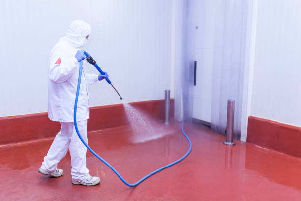 Paint Preparation in Camp Pendleton South, CA